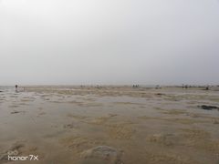 -红树林天天赶海