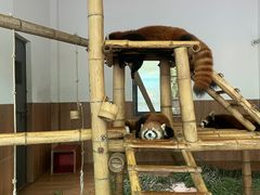 -无锡动物园·太湖欢乐园