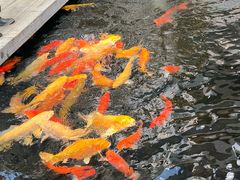 -MUJI无印良品(顺城店)