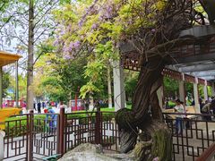 -郑和公园