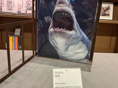 -茑屋书店(天目里店)