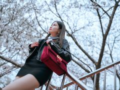 -上海南浦大桥长途旅游客运站