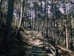 -冶父山国家森林公园