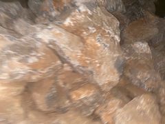 -长虫山生态公园风景林