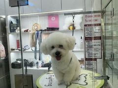 -它主义宠物(梁溪万达店)