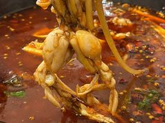 -鸿顺老铁锅美蛙鱼府(解放碑店)