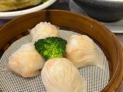 -东方御宴海鲜酒楼(棕泉酒店)