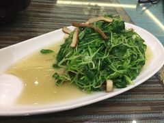 -自游人·美食一楼·地道徽菜(三十年名店)