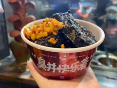 -黑色经典臭豆腐·湖南特产(坡子街店)