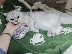 -美联众合动物医院·24h转诊中心