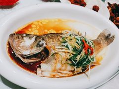 清蒸鲈鱼-御仙都北京菜馆·烤鸭店(双井店)