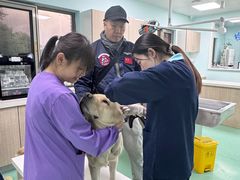 -北京观赏动物医院·24小时大型综合·猫专科·异宠专科