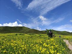 -扁都口生态休闲旅游区