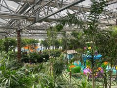 -南宫五洲植物乐园