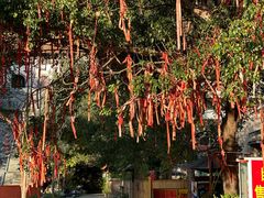 -白云山风景名胜区