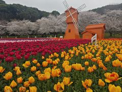 -苏州上方山国家森林公园