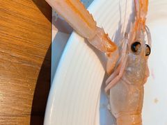 -Mr·Fish鱼鲜生海鲜放题(银泰in99店)