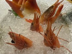 -吉兆·料理(红梅南路店)