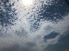 -日出青木·杭帮菜名店