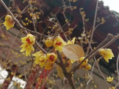 -山东师范大学(千佛山校区)