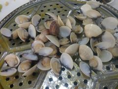 -凯盈阁·顺德私房菜·桑拿鸡