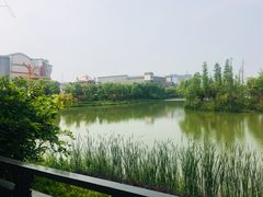 -芜湖方特东方神画