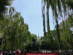 -玲珑塔公园