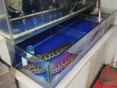 -活鱼馆(宜兴埠店)