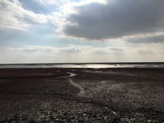 -红海滩国家风景廊道