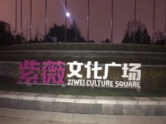 -悦屋老板娘的烤肉店(紫薇田园店)