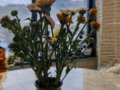 -玫瑰西餐厅.意面披萨.牛排咖啡