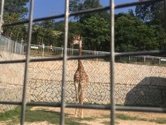 -泉州海丝野生动物世界