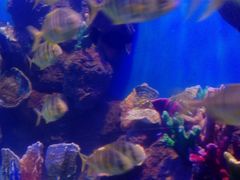 -石林冰雪海洋世界