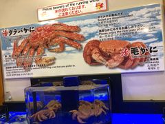-蟹道乐(道顿堀本店)