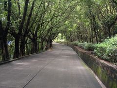 天后宫内景--下山之路-南沙天后宫景区