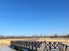 -野鸭湖国家湿地公园