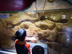 -上海昆虫博物馆