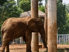 -石家庄市动物园