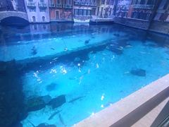 -华夏文旅海洋公园