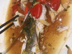 -丹江渔村(望京店)