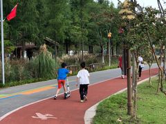 -上海长兴岛郊野公园