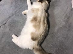 -零纪元VR体验馆·桌游(黄浦店)