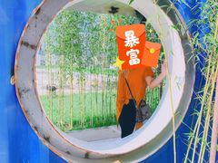-山下C5cafe(惠通时代广场店)