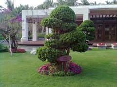 -三亚亚龙湾天域度假酒店