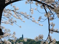 -苏州上方山国家森林公园