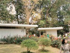 -人民公园(罗湖区)