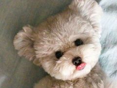 -美迦爱-牙专科·兔科·骨科诊疗中心(北苑店)