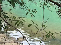 -广州白江湖森林公园