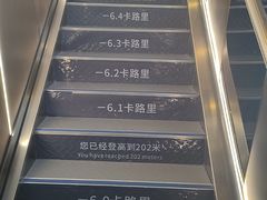 -龙塔