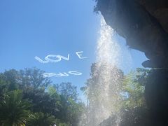 -奥兰多迪士尼动物王国乐园